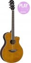 Yamaha APX 600 FM AMB Yamaha APX 600 FM AMB