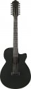 Ibanez AEG1221-BOT Ibanez AEG1221-BOT