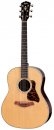 Taylor Gold Label 717e Taylor Gold Label 717e