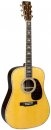  Martin D-45 