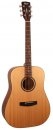  Cort AD850 Open Pore 