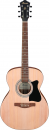  Ibanez VC50NJP OPN 
