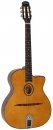  Richwood RM-70-NT git. jazz. Hot Club 