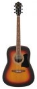  Ibanez V50NJP-OVS 