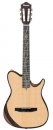  Ibanez TOD100N-NT 