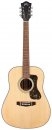  Guild D-340 NAT 