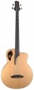  Furch Bc 61-CM 4 LR Baggs 