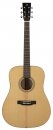  Prodipe Dreadnought SD300 