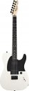  Fender Artist Jim Root Telecaster EN FW 