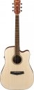  Ibanez PF10CE OPN 