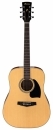  Ibanez PF15 NT 