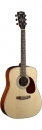  Cort Earth70 NAT 