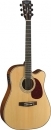  Cort MR710F NS 